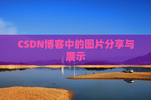 CSDN博客中的图片分享与展示